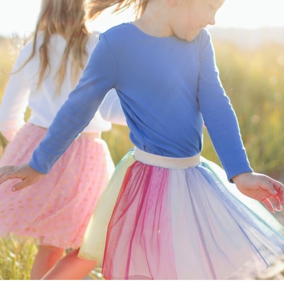Rainbow Tea Length Tulle Skirt 